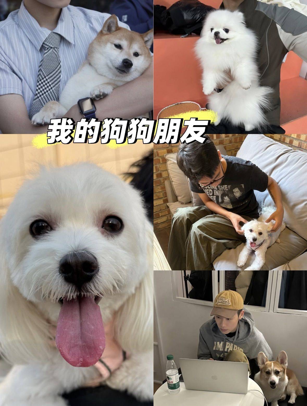 望京找呀找呀找室友_3