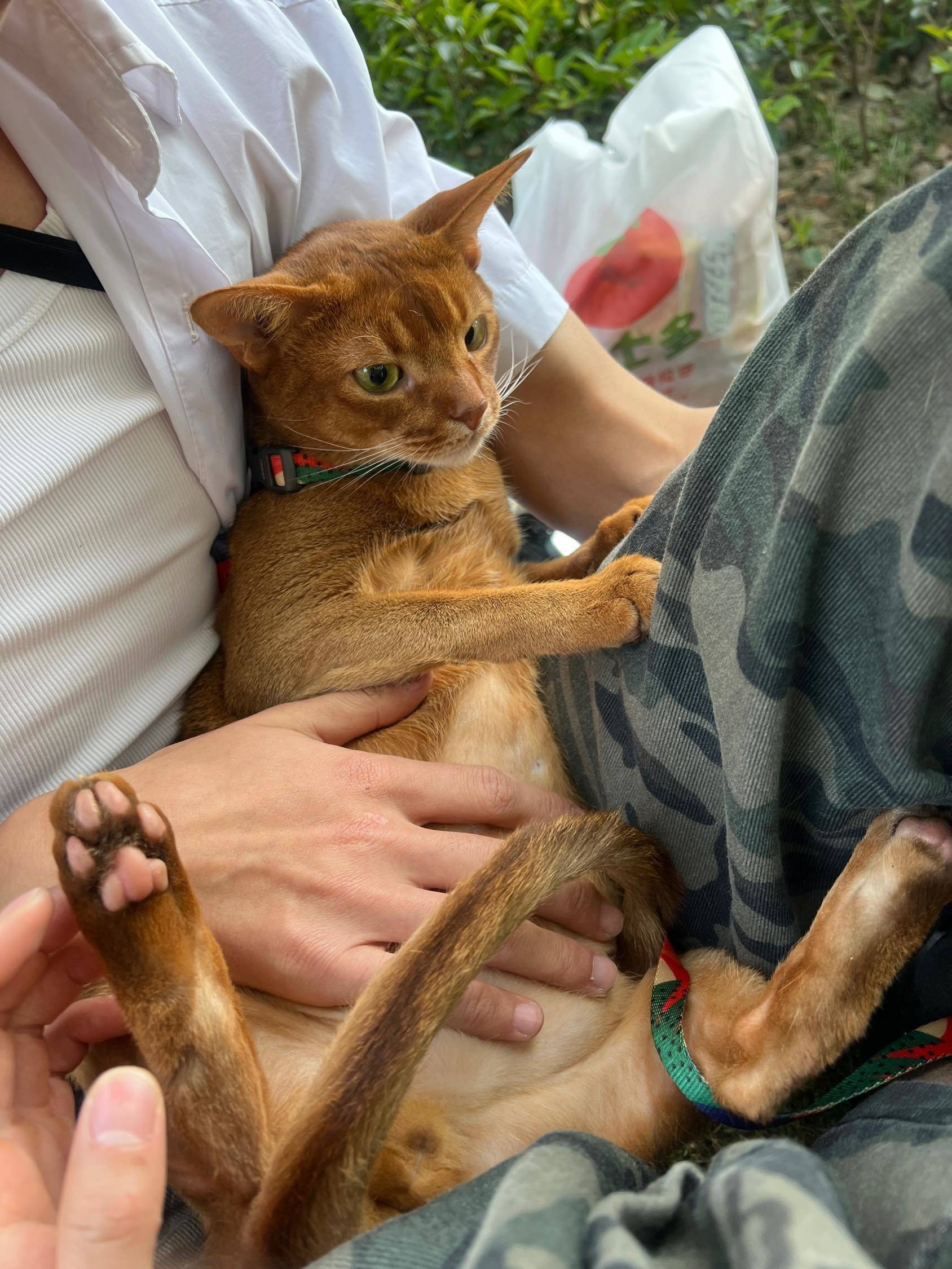 找一个六月1号左右到期的室友🙋_2