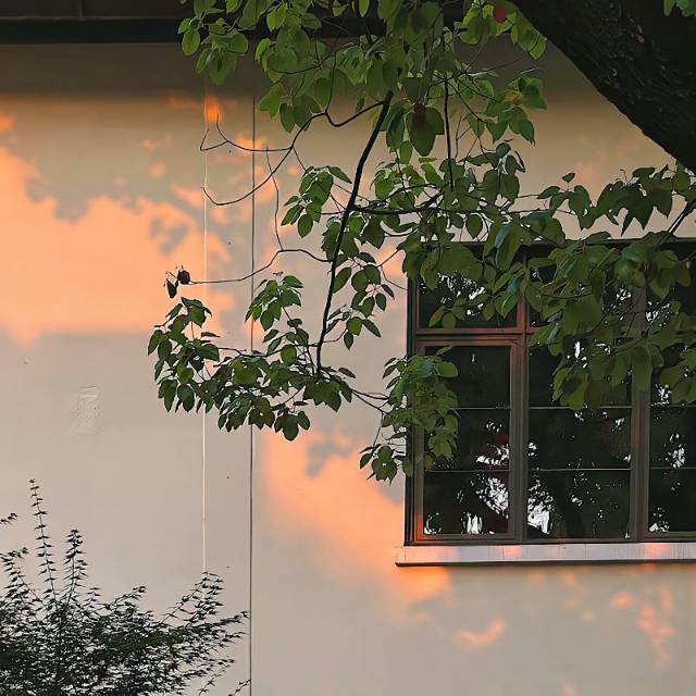 上海找室友大别野共居