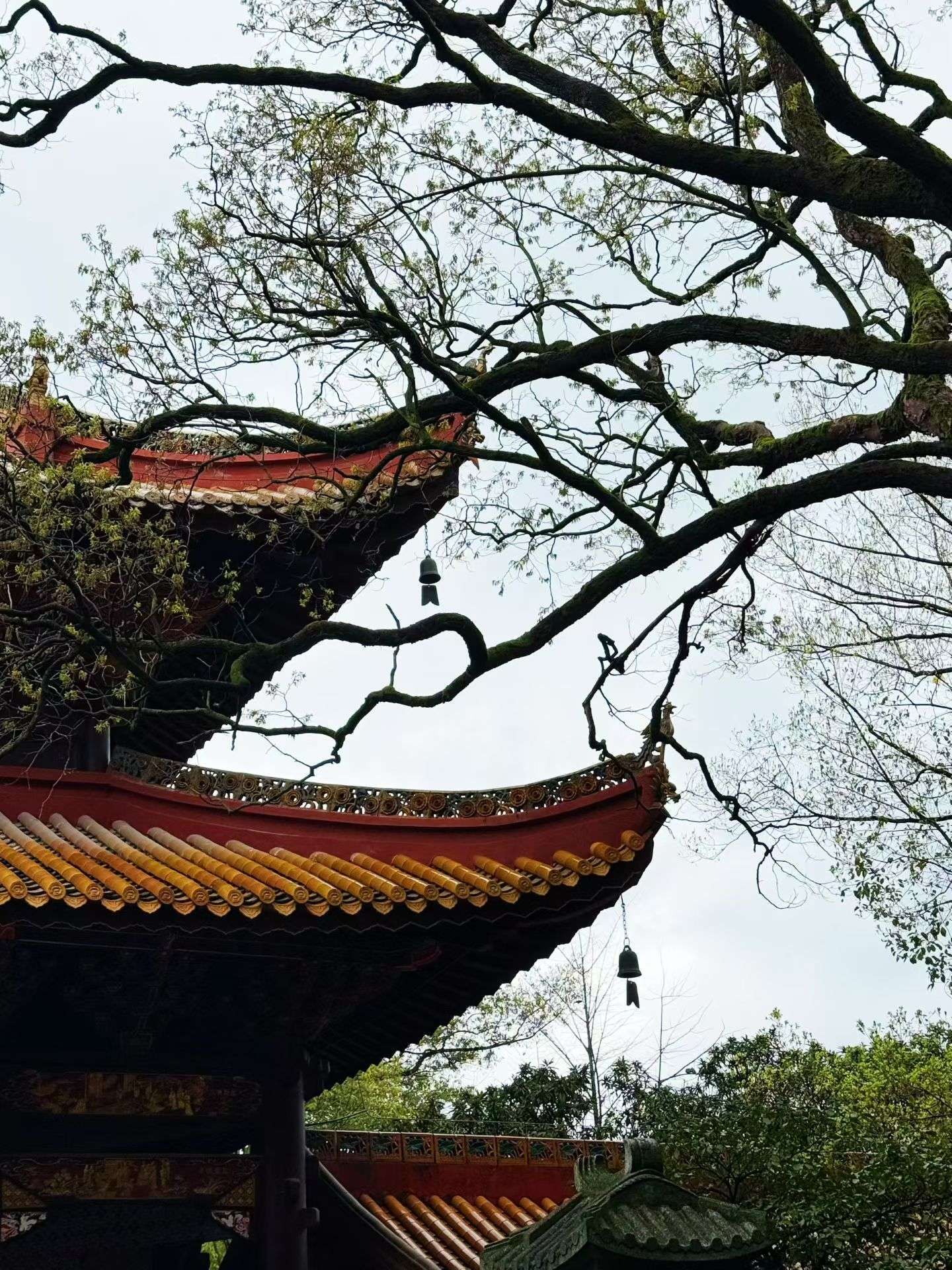 解锁衡阳 从湘江到祝融峰 快乐满分 旅_3