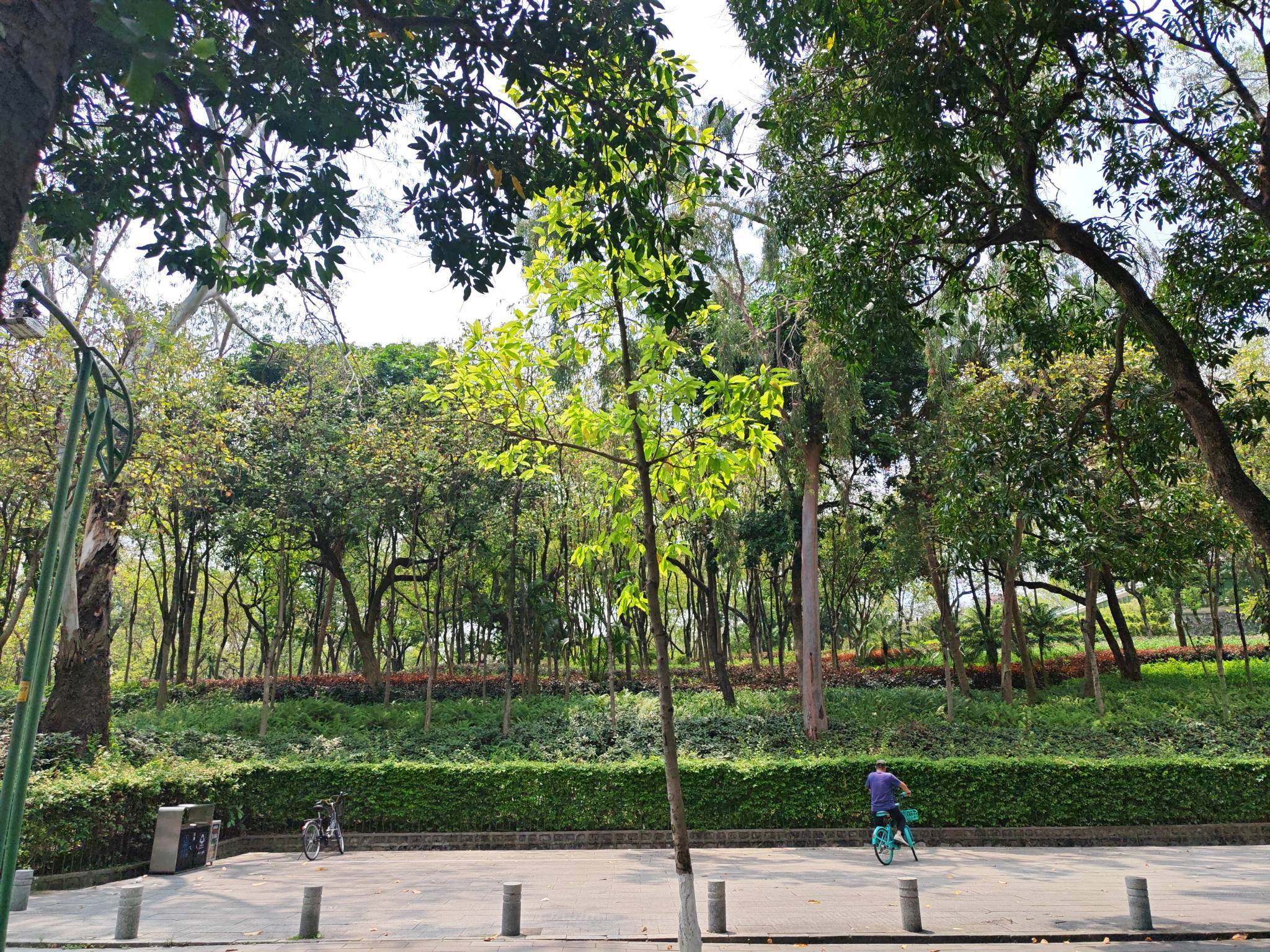 广州麓湖还是这么优雅 在线蹲室友  _1