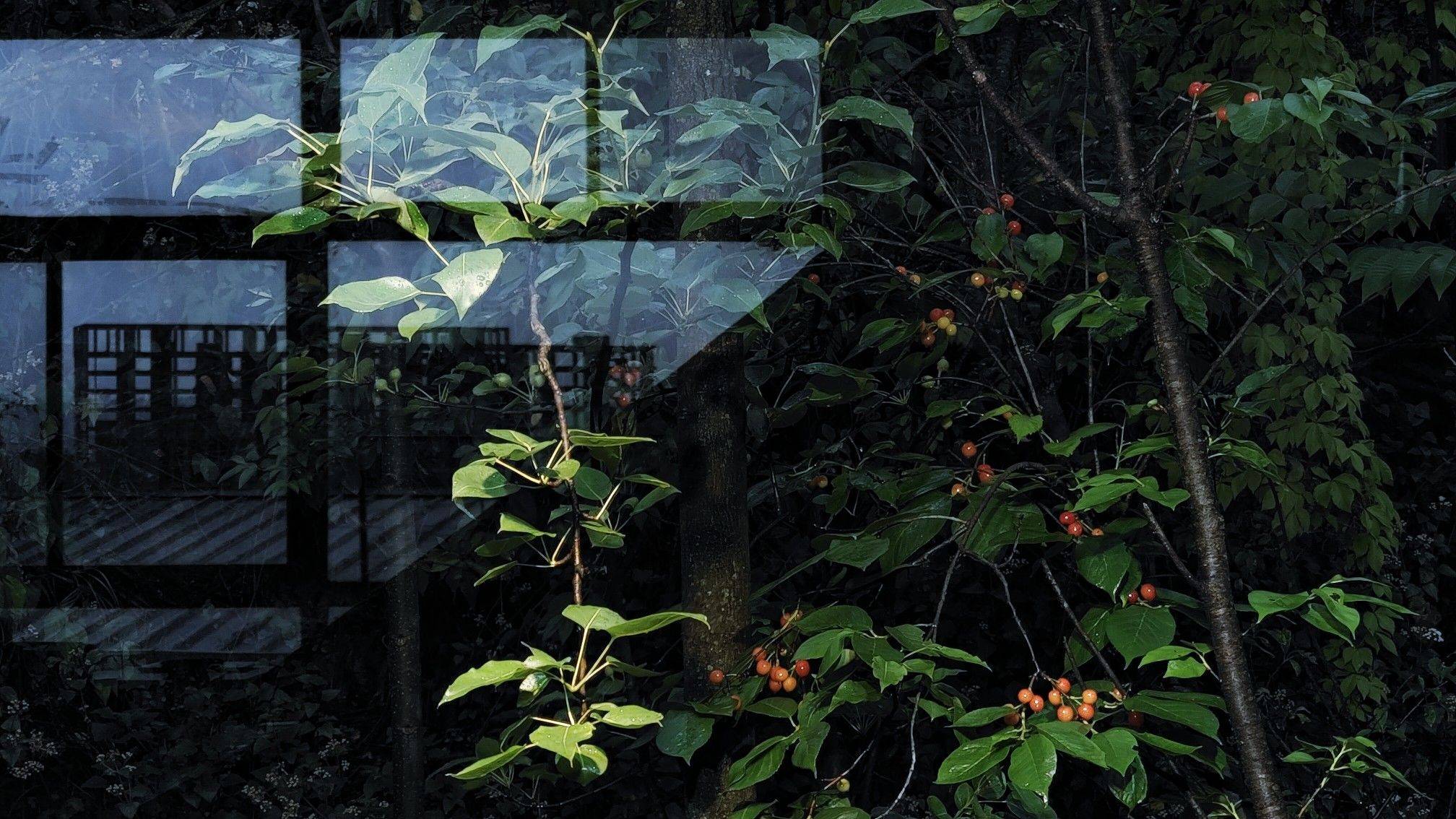 欢迎来我家避暑_3