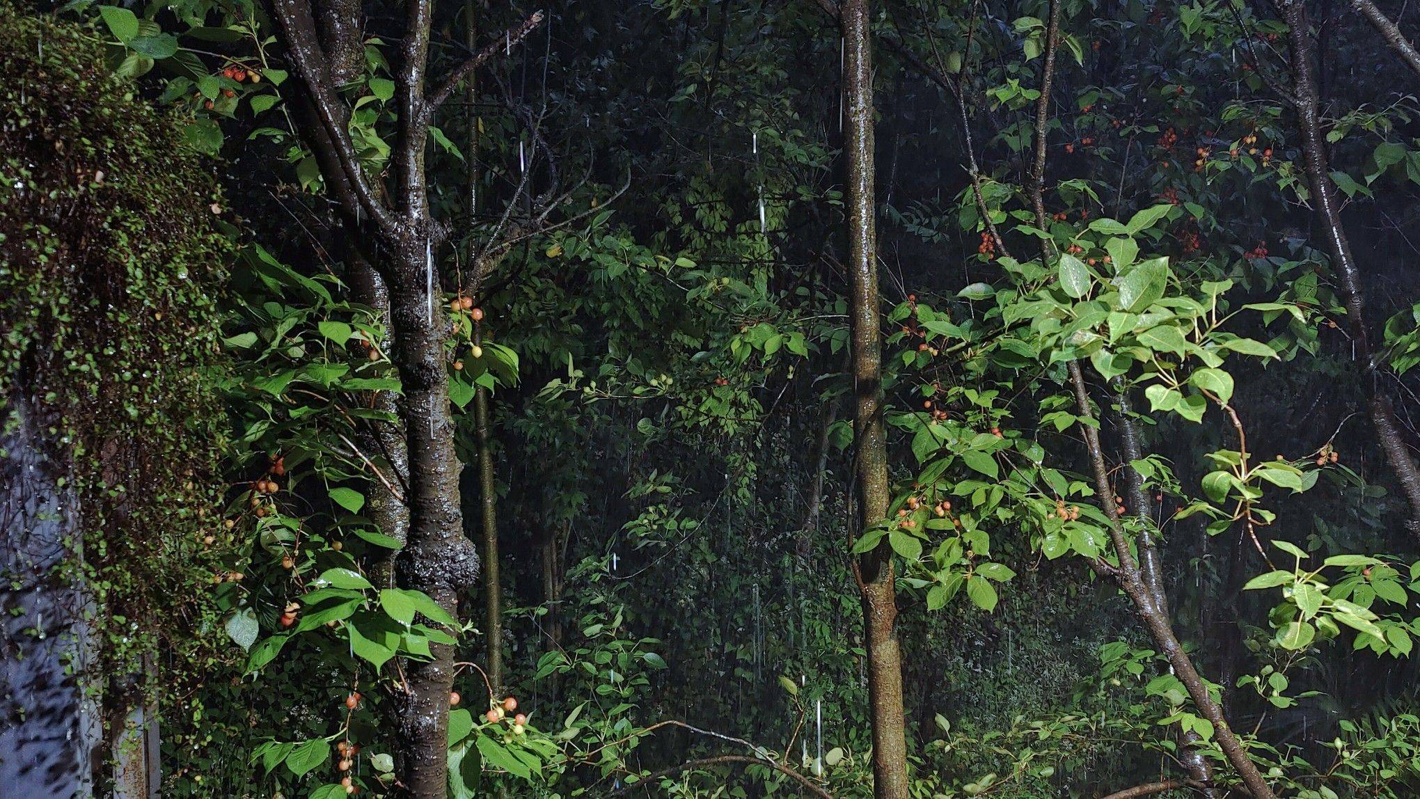 欢迎来我家避暑_1