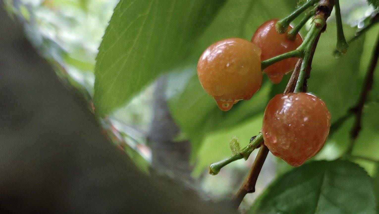 欢迎来我家避暑_2