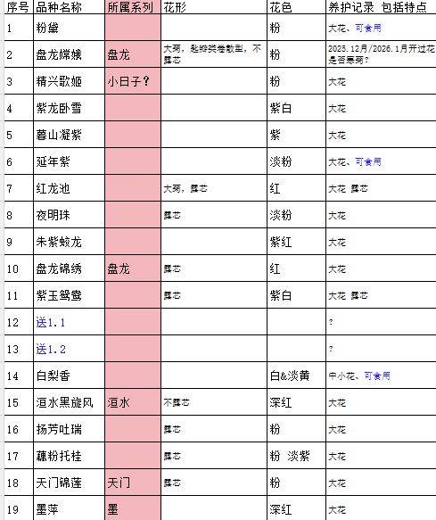 上海浦东世博/南码头菊花苗扦插苗分享_3