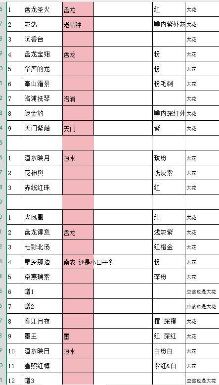 上海浦东世博/南码头菊花苗扦插苗分享_2