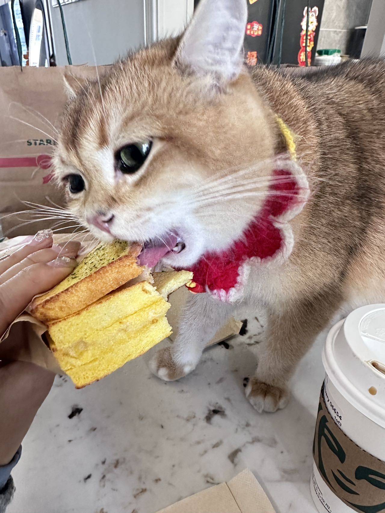 肆意绽放吧蹲个好房客_1