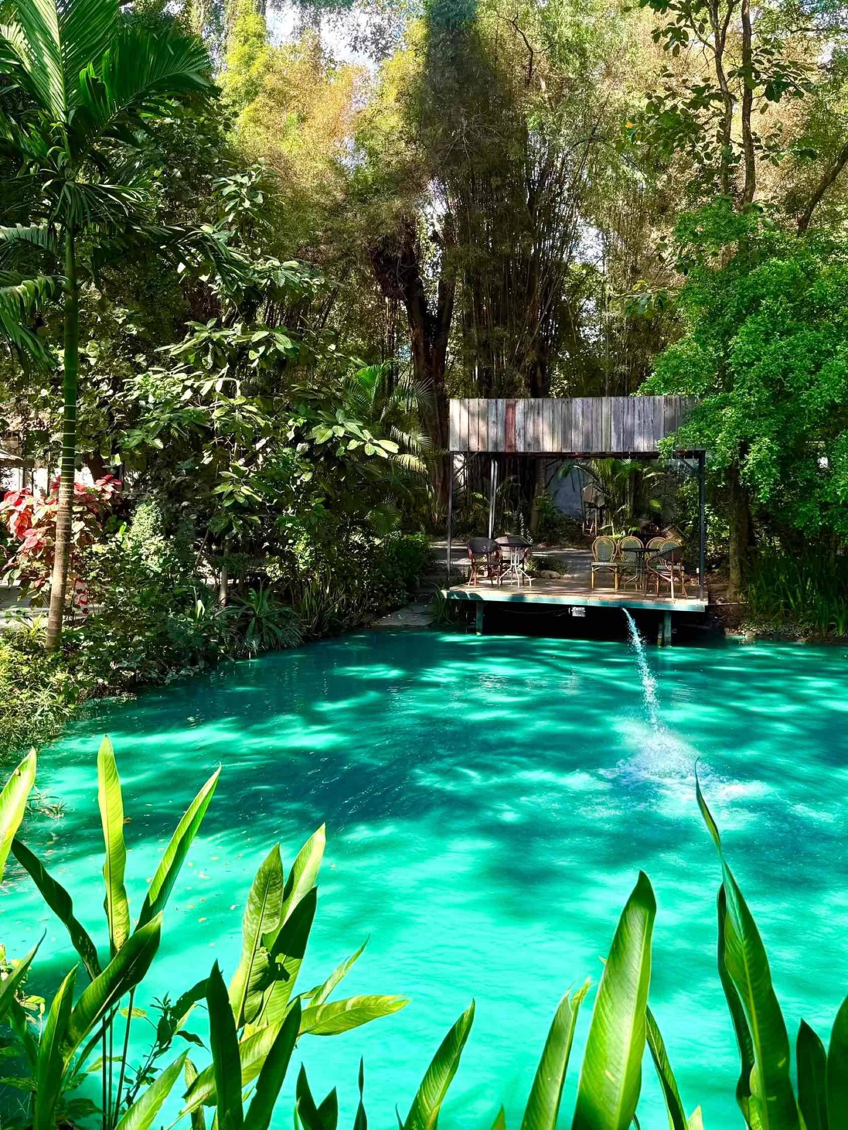 清迈｜为什么大家喜欢这个“国际大农村”🤔️_1