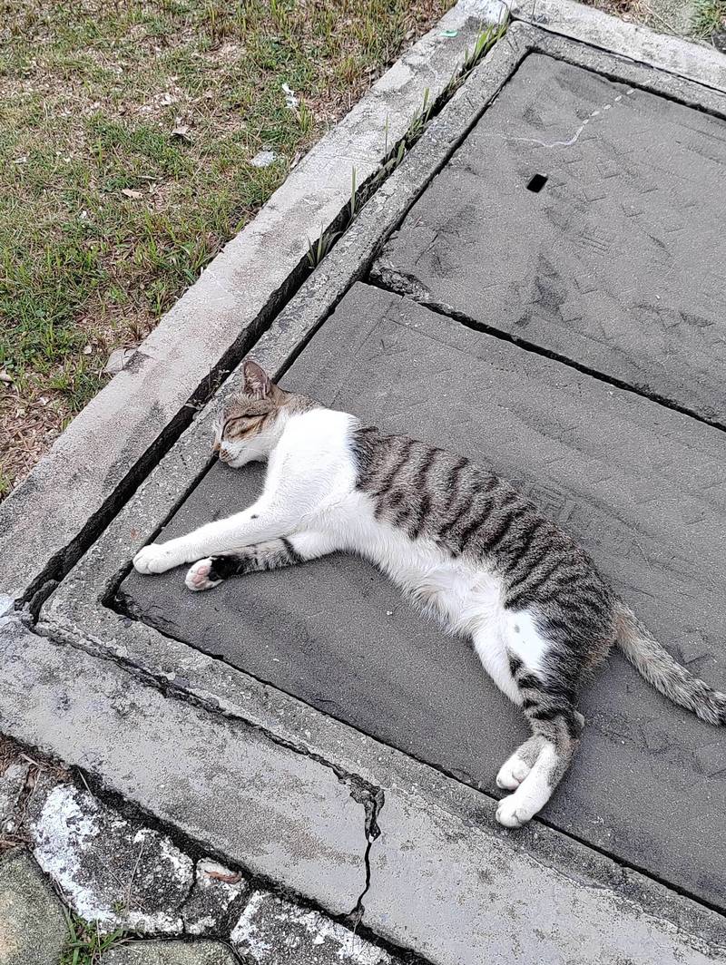 校园生活📷