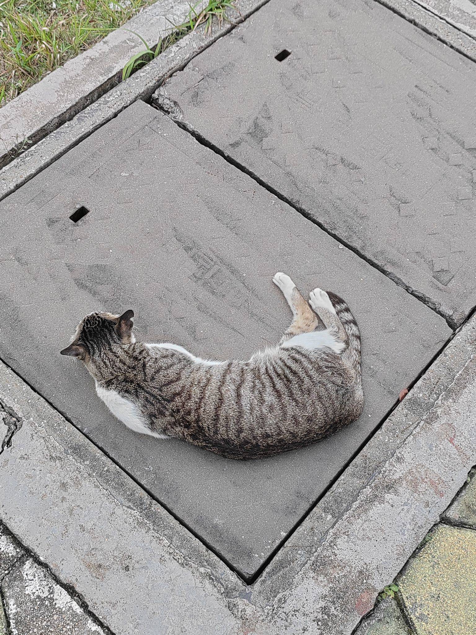 校园生活📷_3