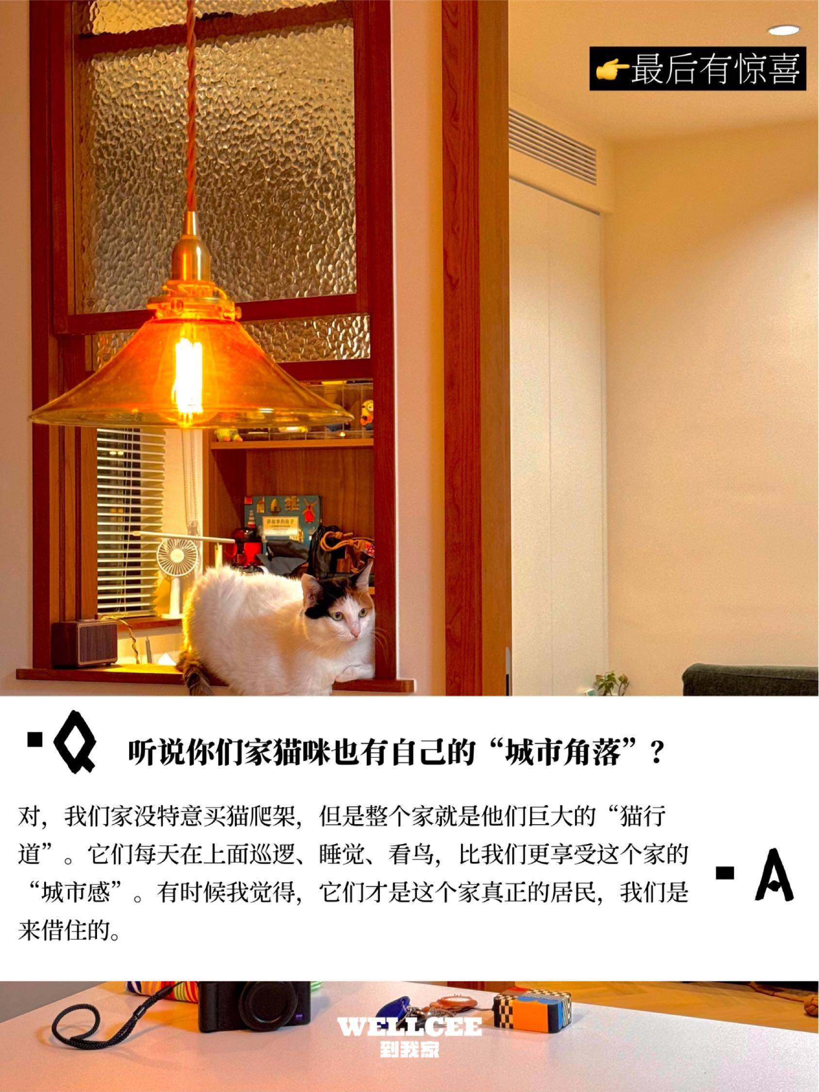 探家抢先看｜在48平小家，听见城市轰鸣_3