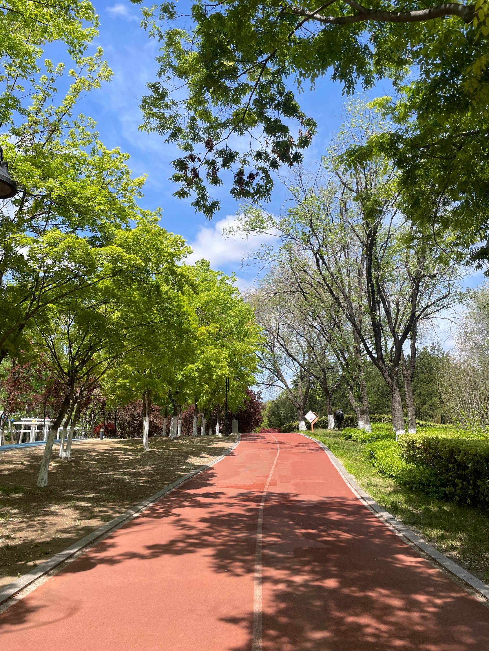 城阳奥林匹克公园｜解锁新的city walk 路线