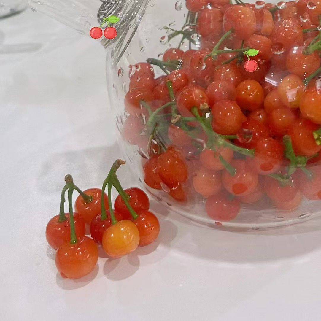 正是樱桃桑葚的季节呀 桑葚  采摘 _1