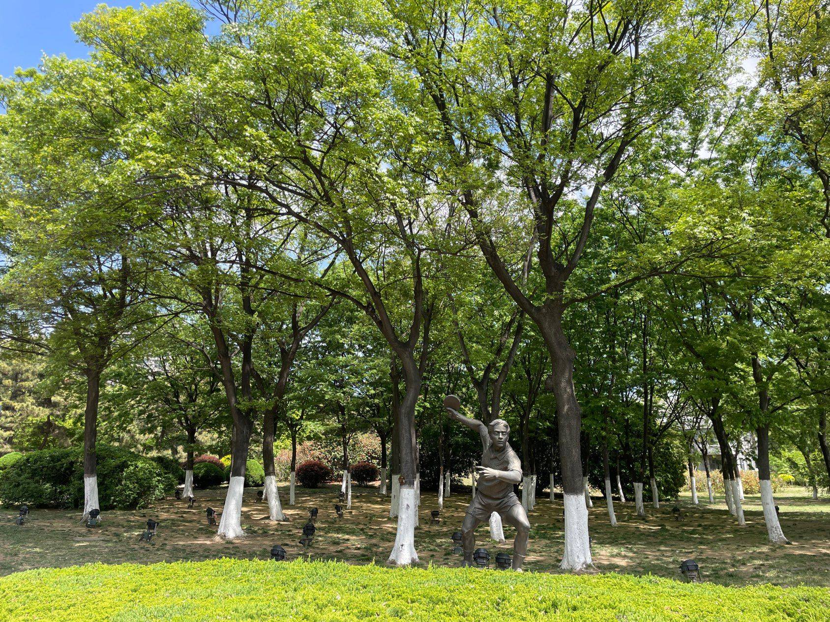 城阳奥林匹克公园｜解锁新的city walk 路线_3