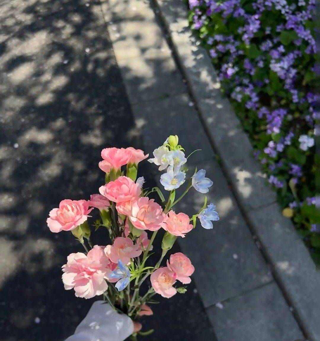 老舍先生在《养花》里写到：只要花开，我就