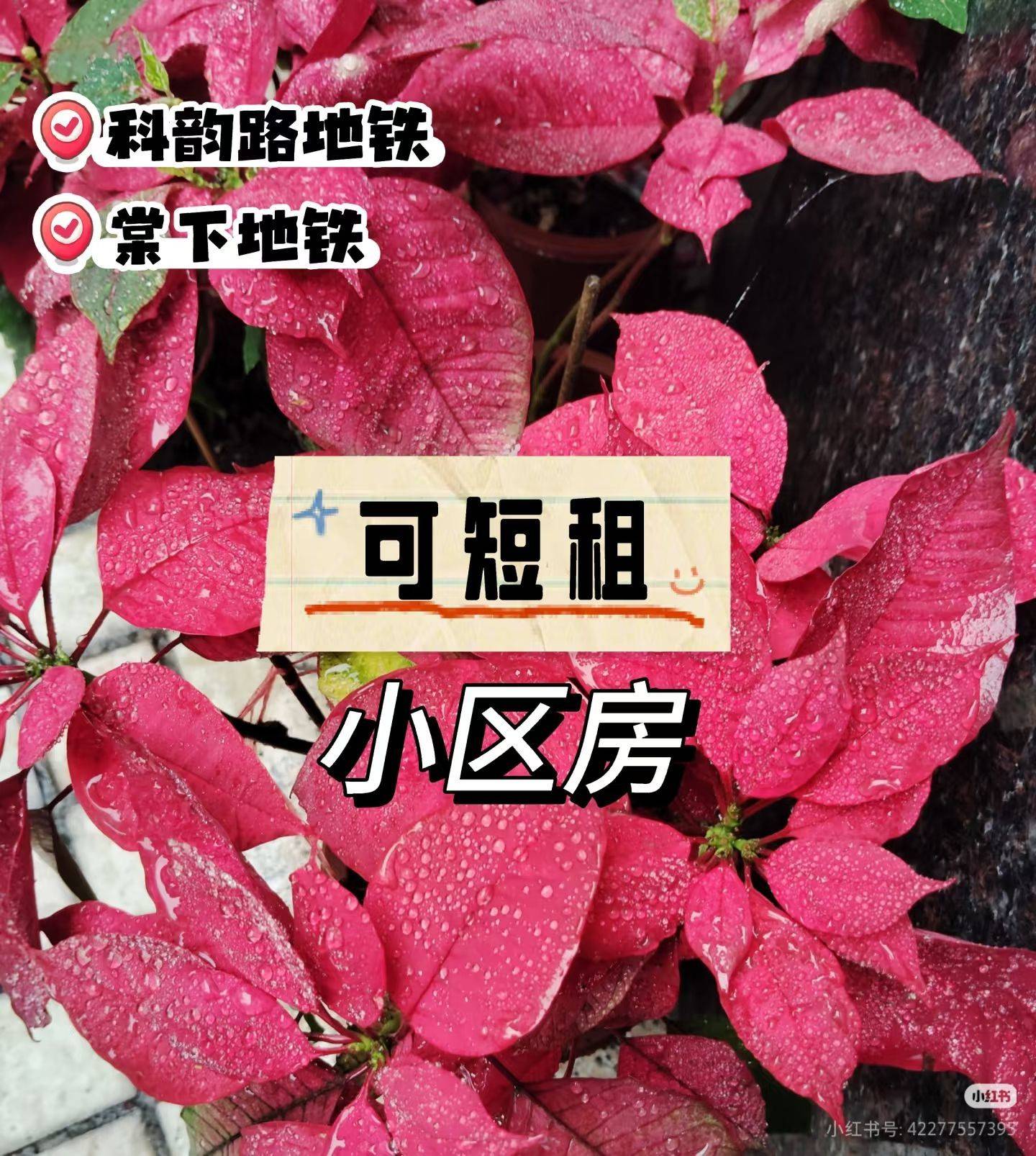 业主直租来了，广州科韵路棠下双地铁