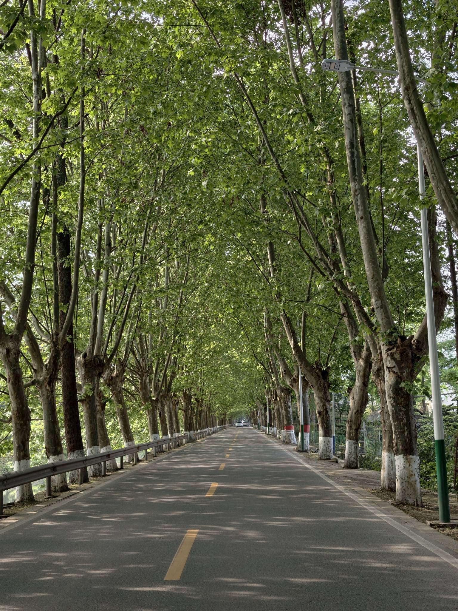 蹲一个合租室友