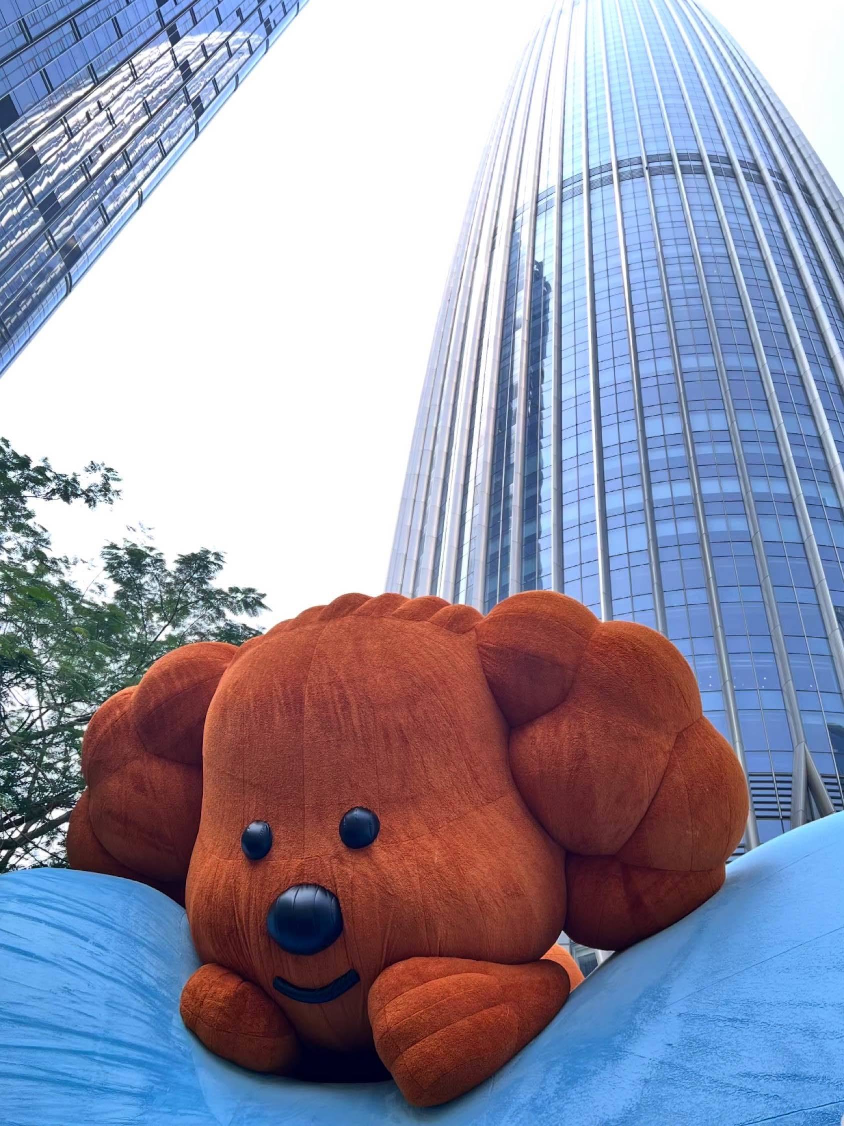 今天天气太舒乎啦～☀️_3