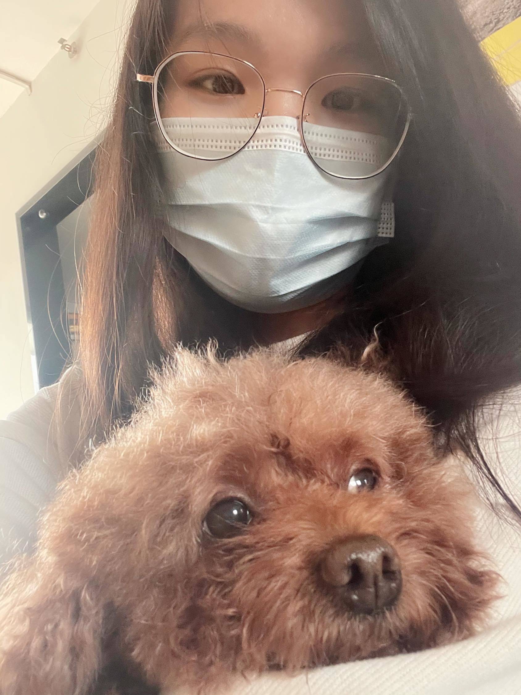小狗找妈妈_2