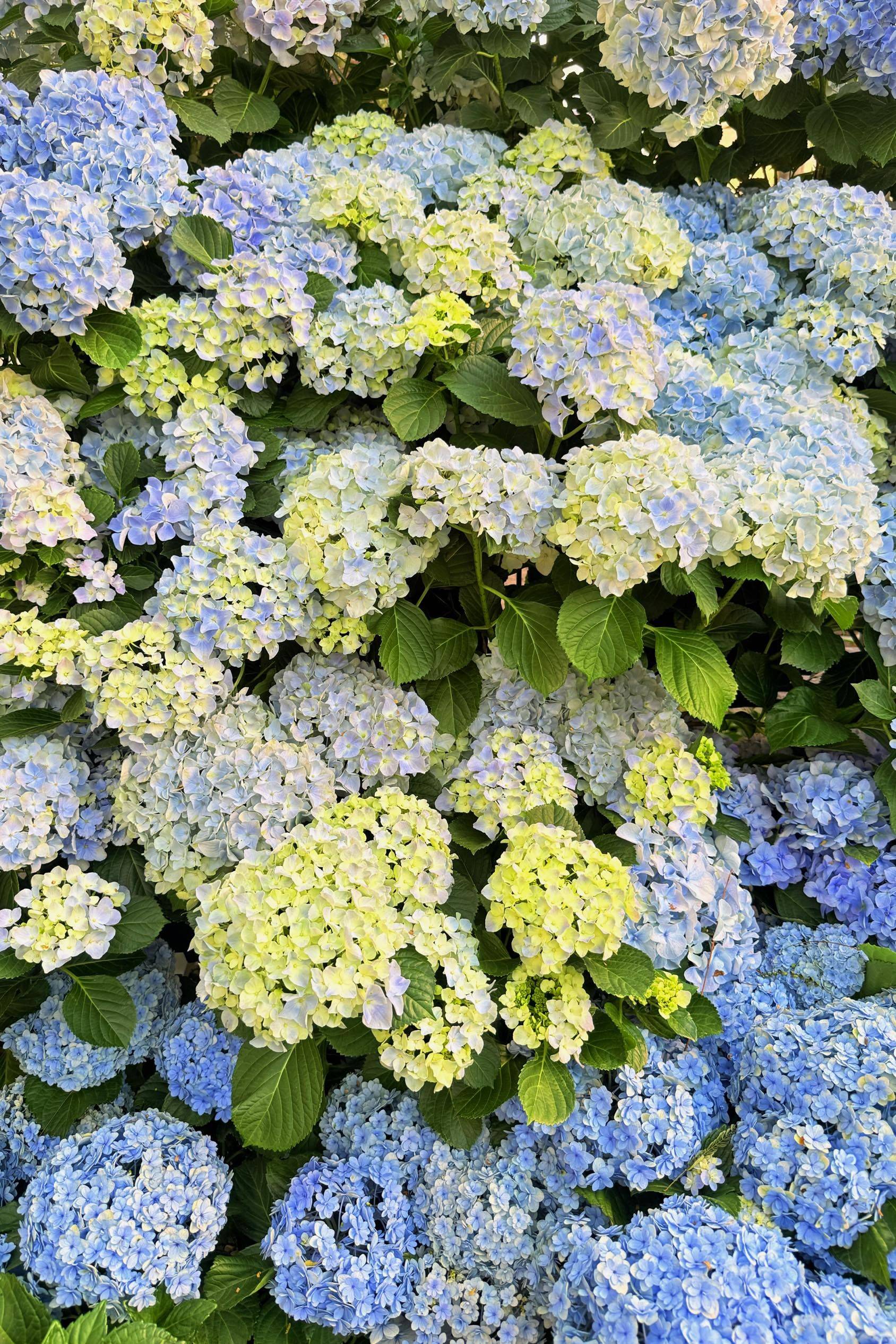 一些个小小的日常耶！_3