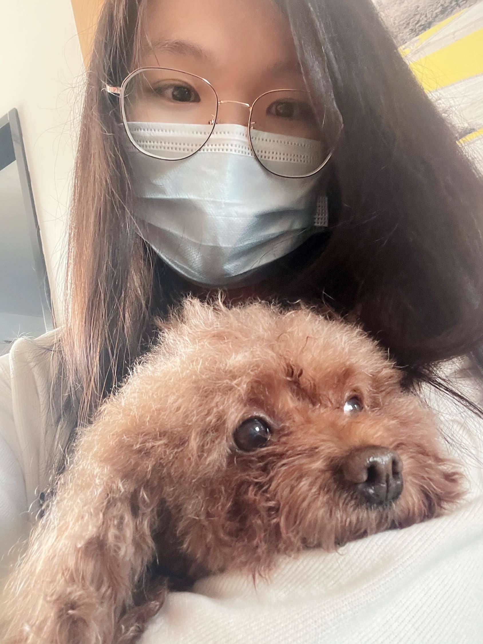 小狗找妈妈_1