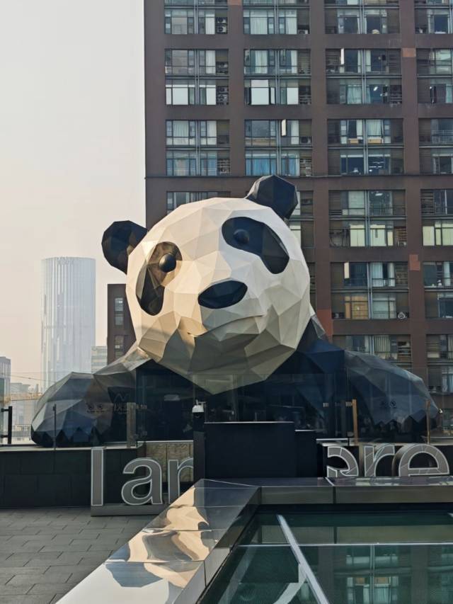美丽成都🐼