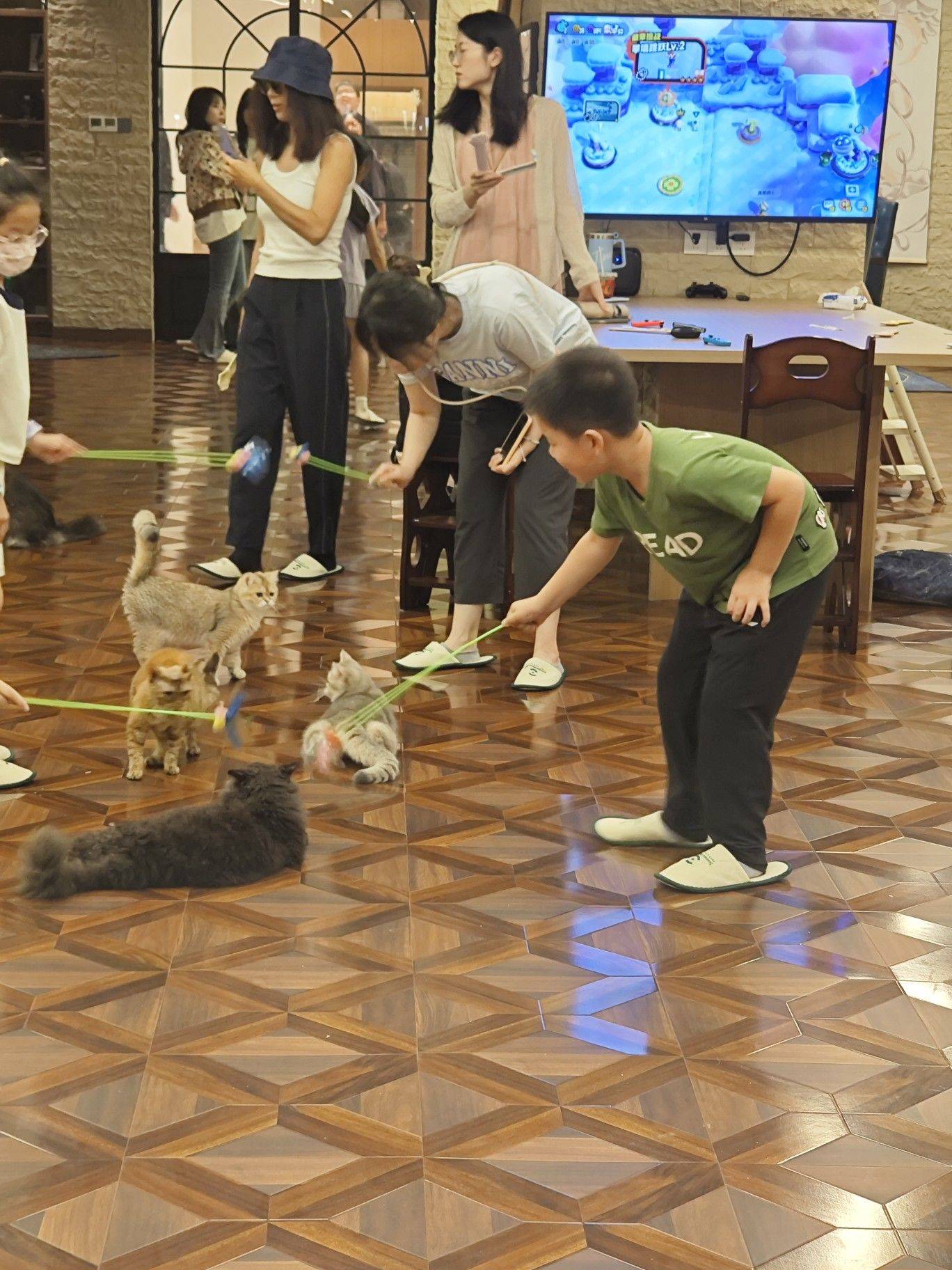 滴水湖朵云书院和猫咖 城市风光  阅_1