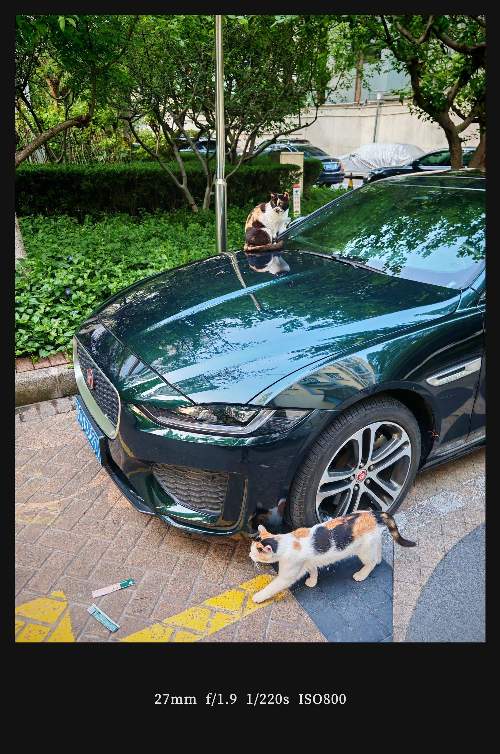 提醒一下： 安居客目前很多是中介挂牌房子_2