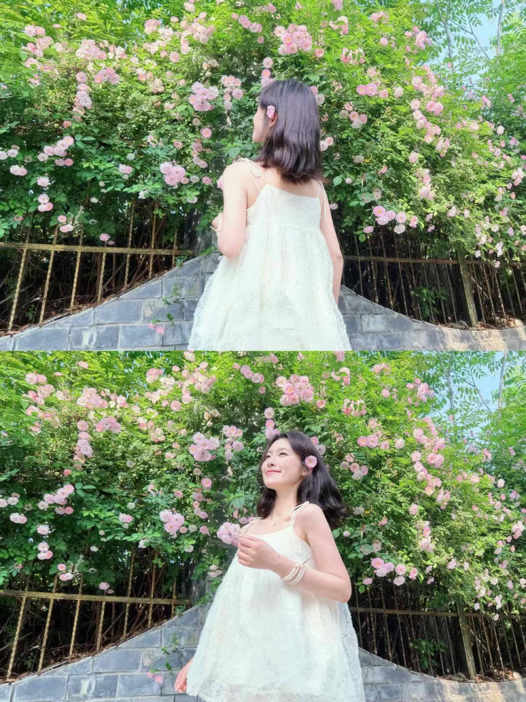 花花