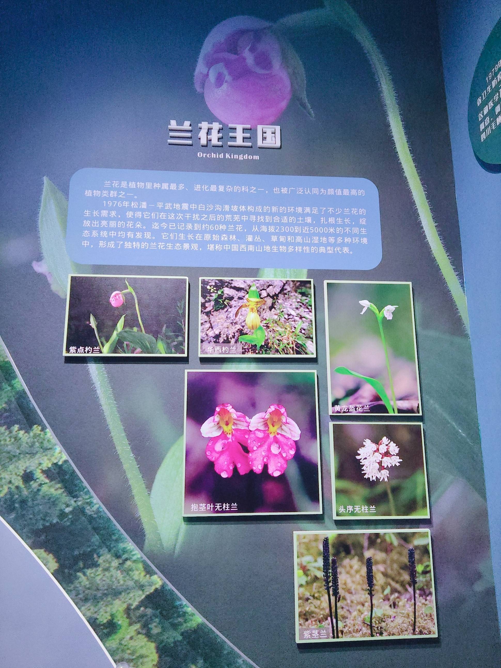🌈西安租房的朋友们看过来