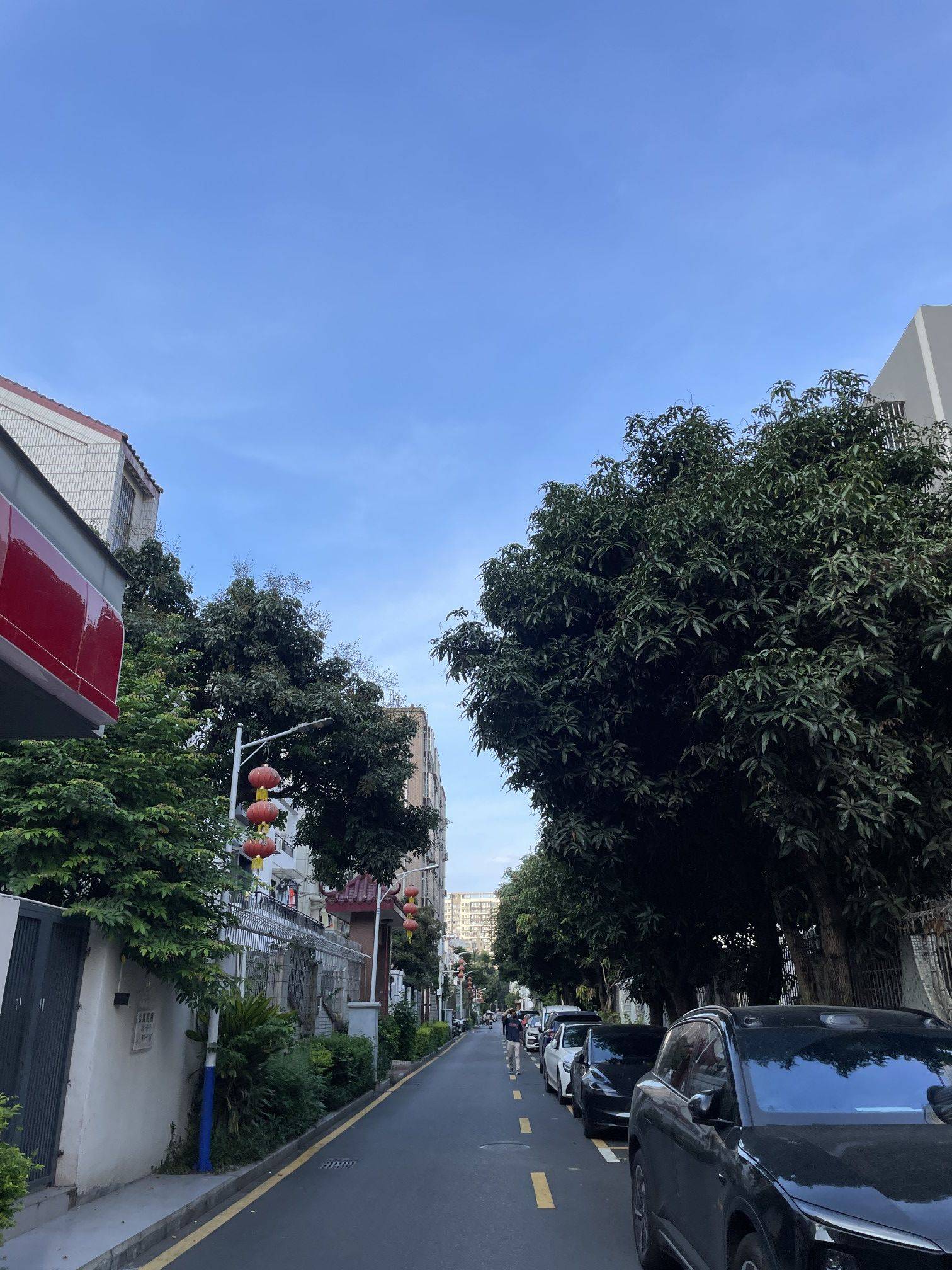 在深圳,这个城中村真的很村_1
