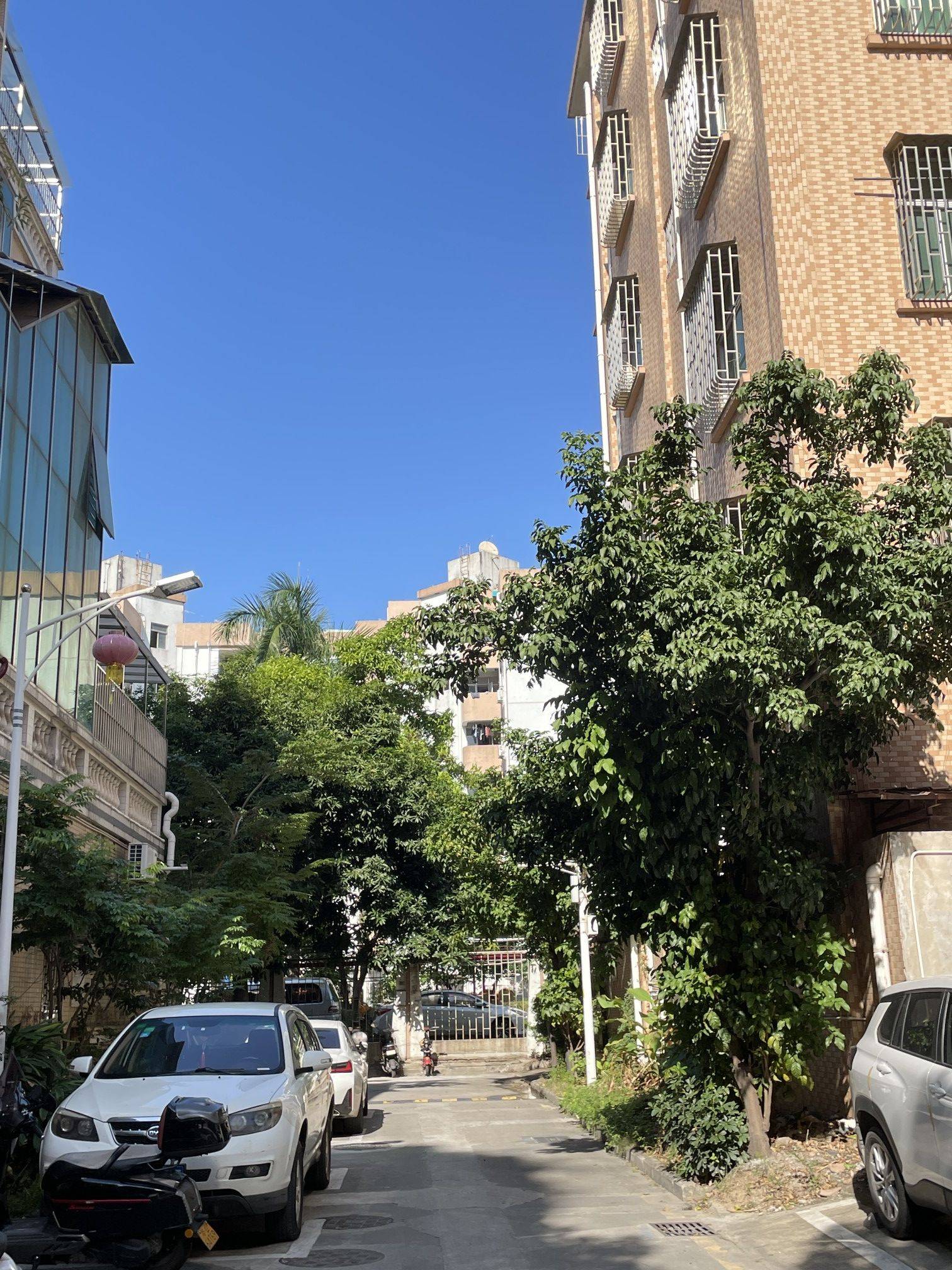 在深圳,这个城中村真的很村_2