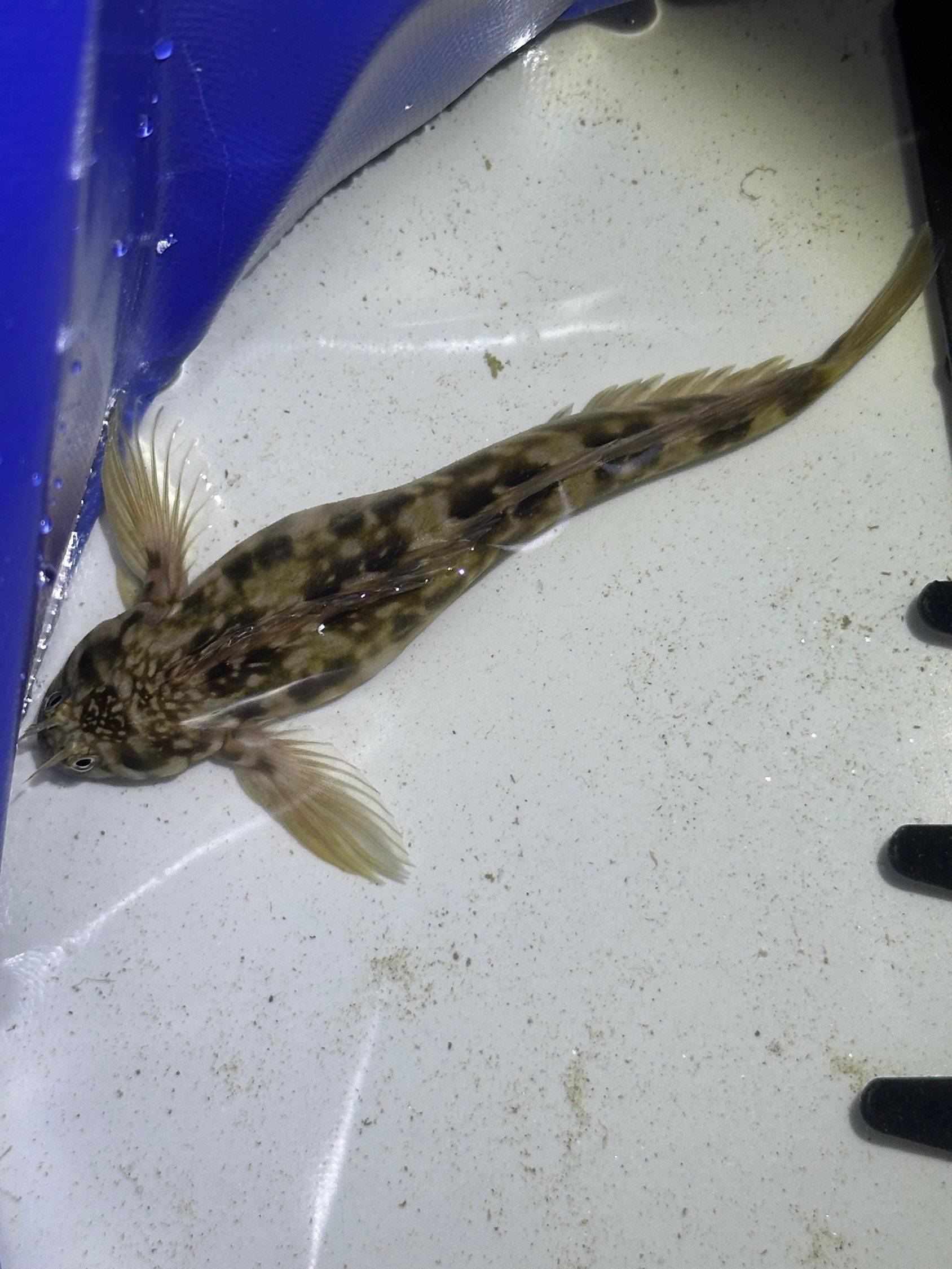 是谁赶到海了？！_1