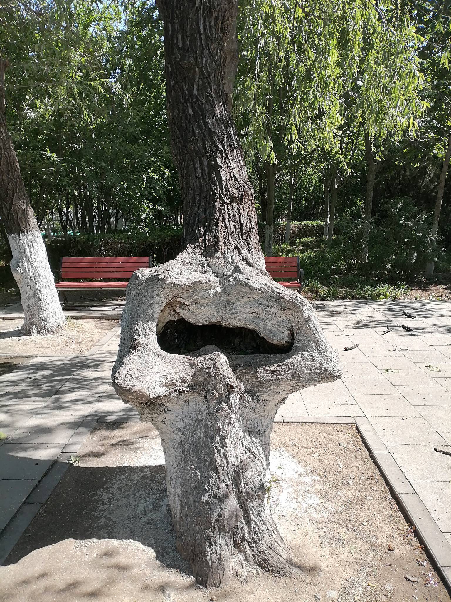 小便池