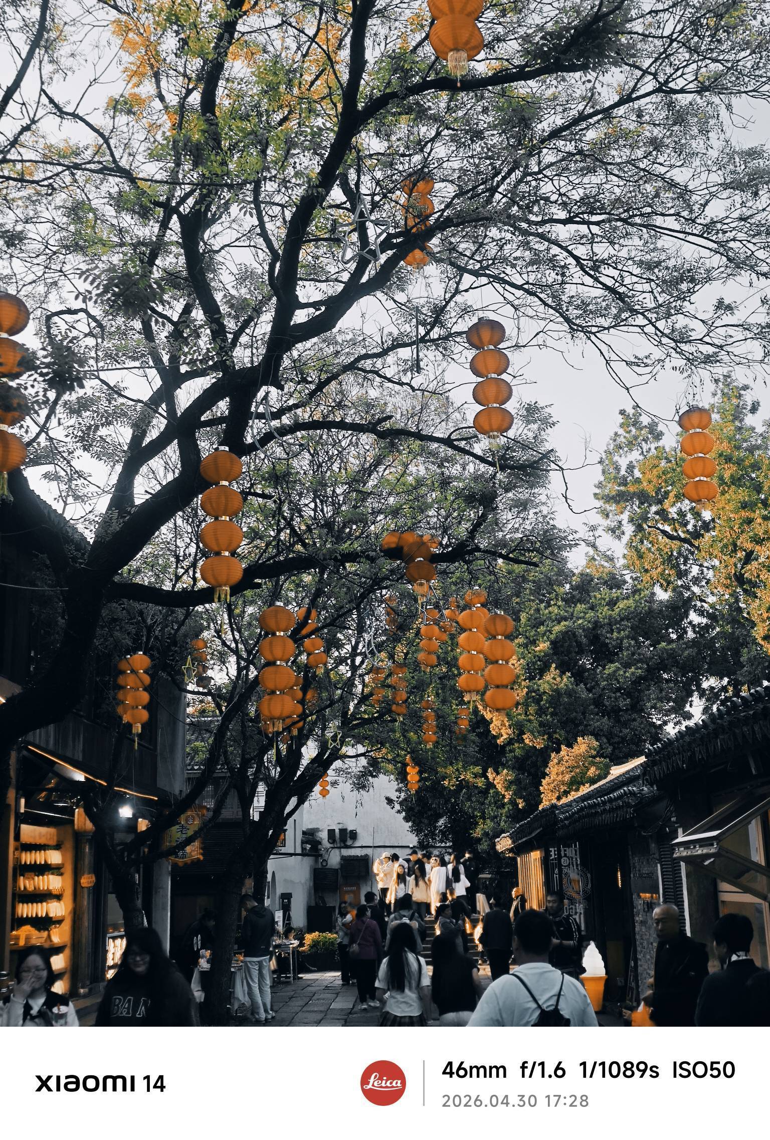  漫步大自然  城市风光  古街灯