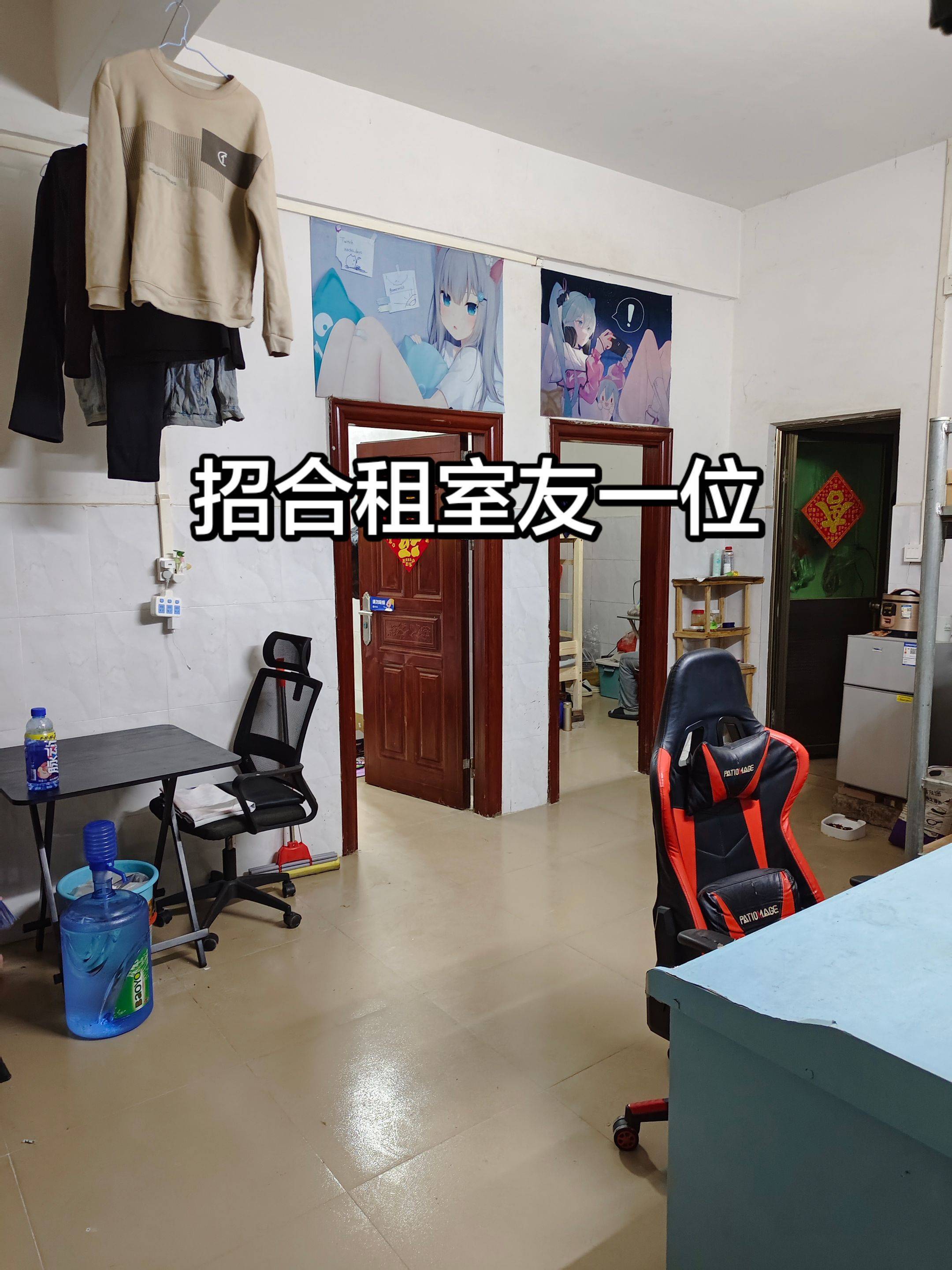 东莞躺平合租生活，有一起组队的吗？目前已_2
