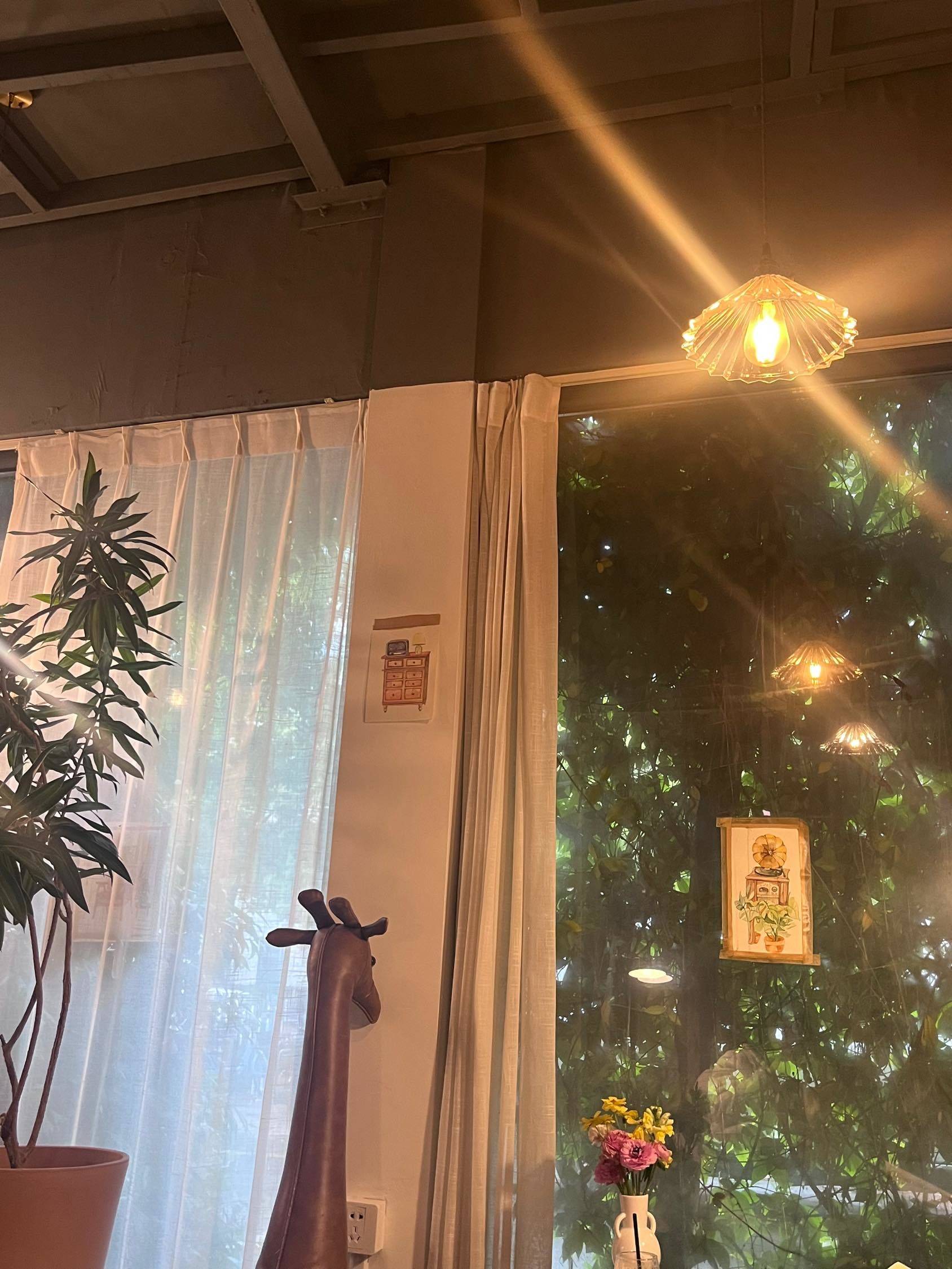 长宁区虹桥路附近找女舍友