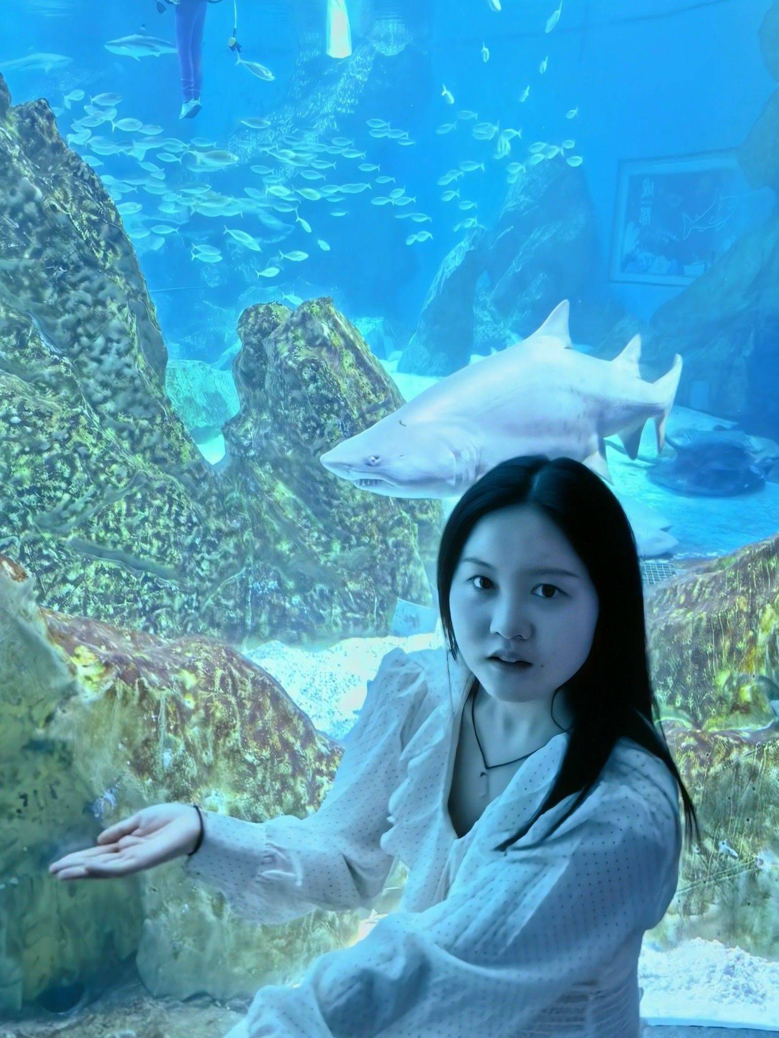 海底世界一日游_3
