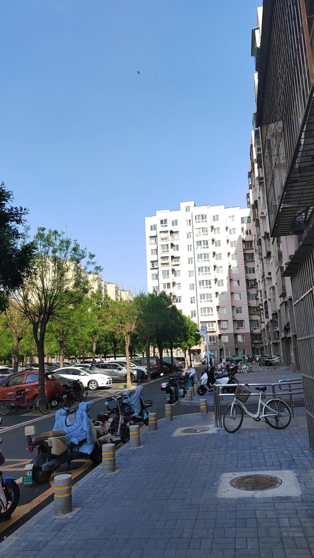 蹲合租女生，15号线国展附近，30分钟到望京