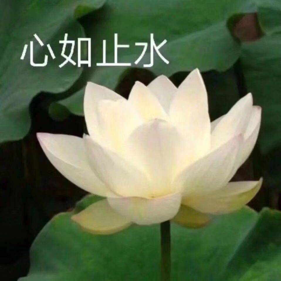 长安，茅坡新城，两室一厅，蹲个室友！！！