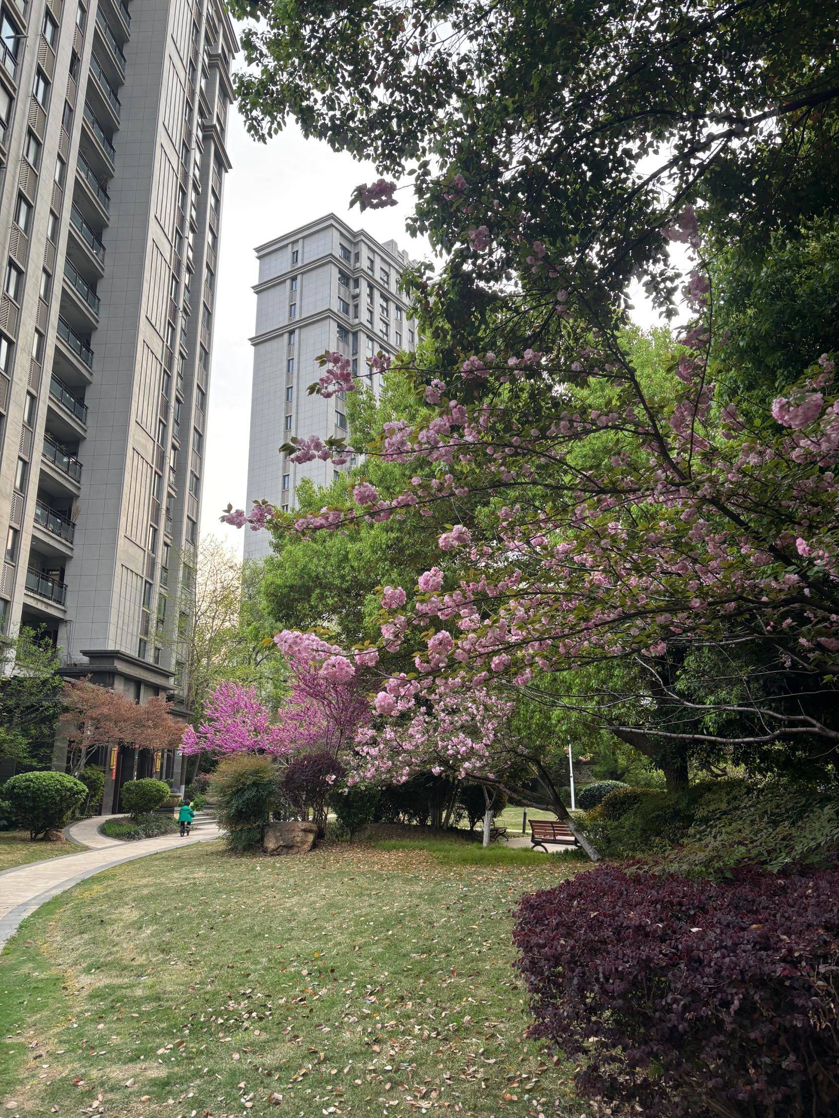 求租金地华公馆