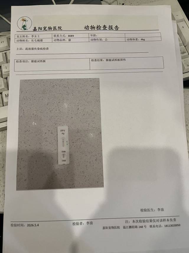 找领养_4