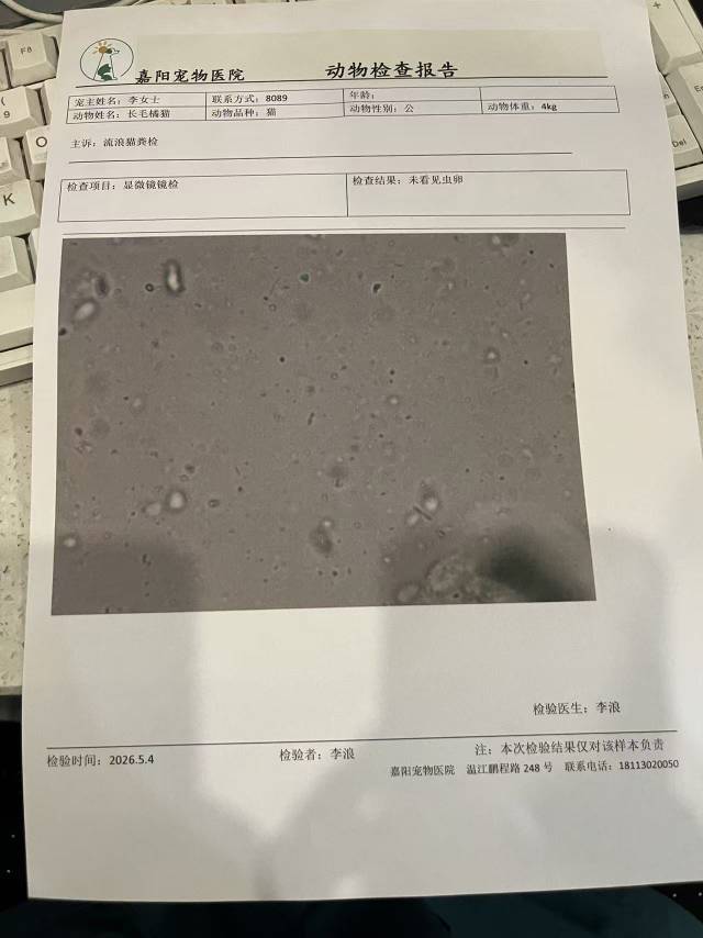 找领养_3