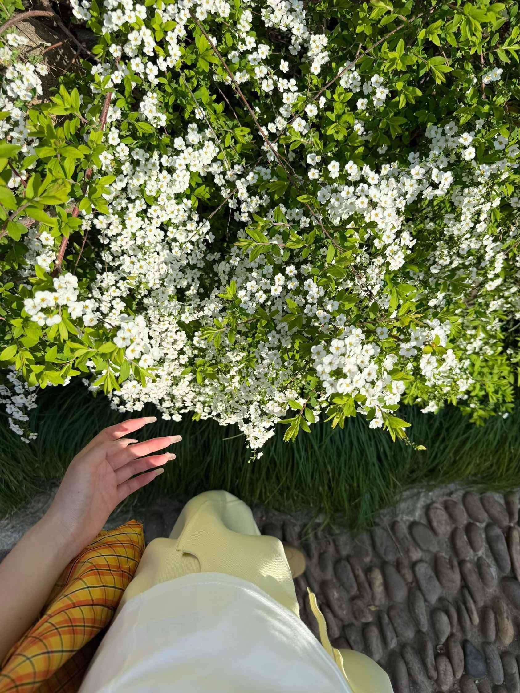 夏季🍂_2