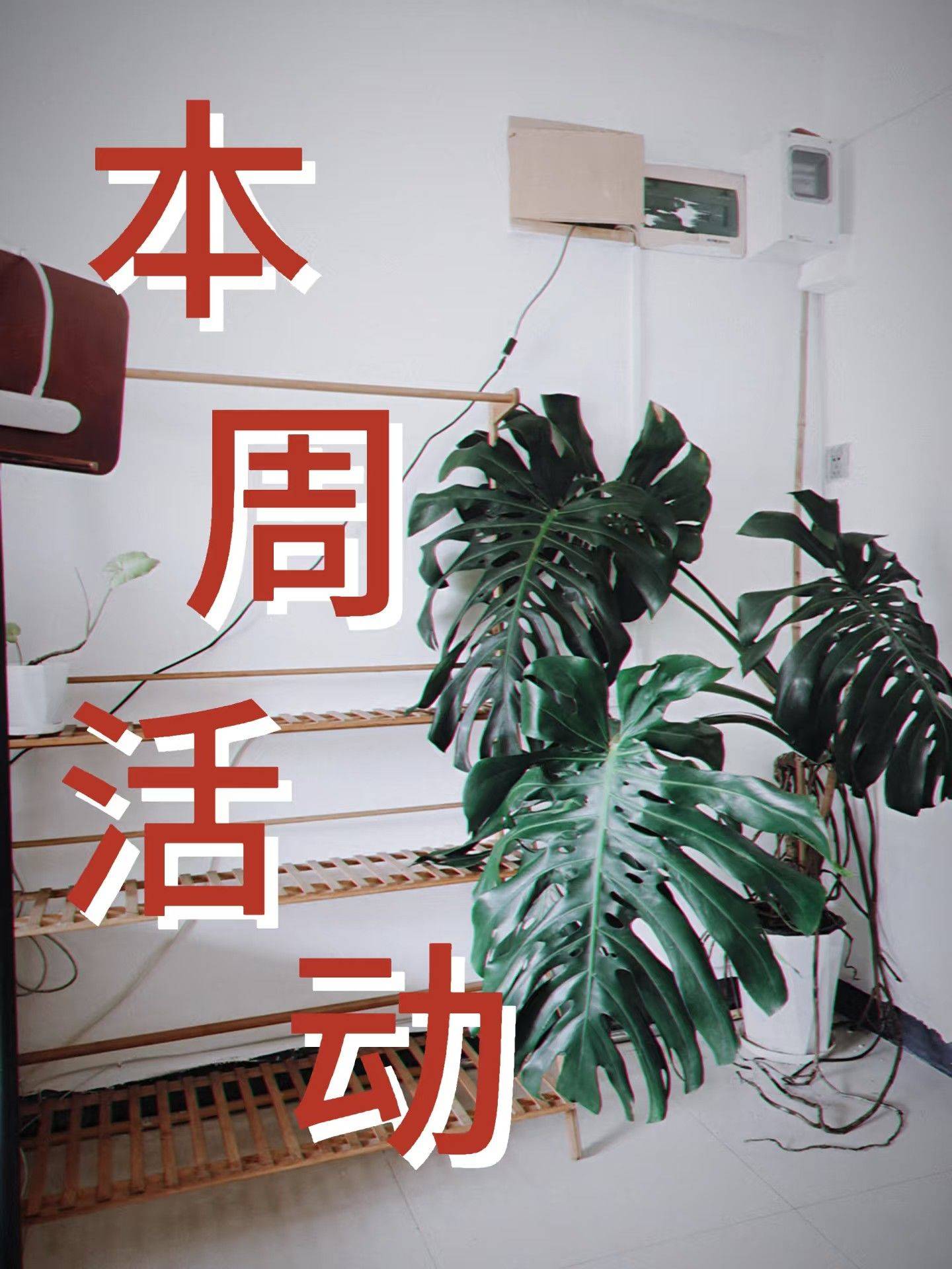 这周只有周日了 5555