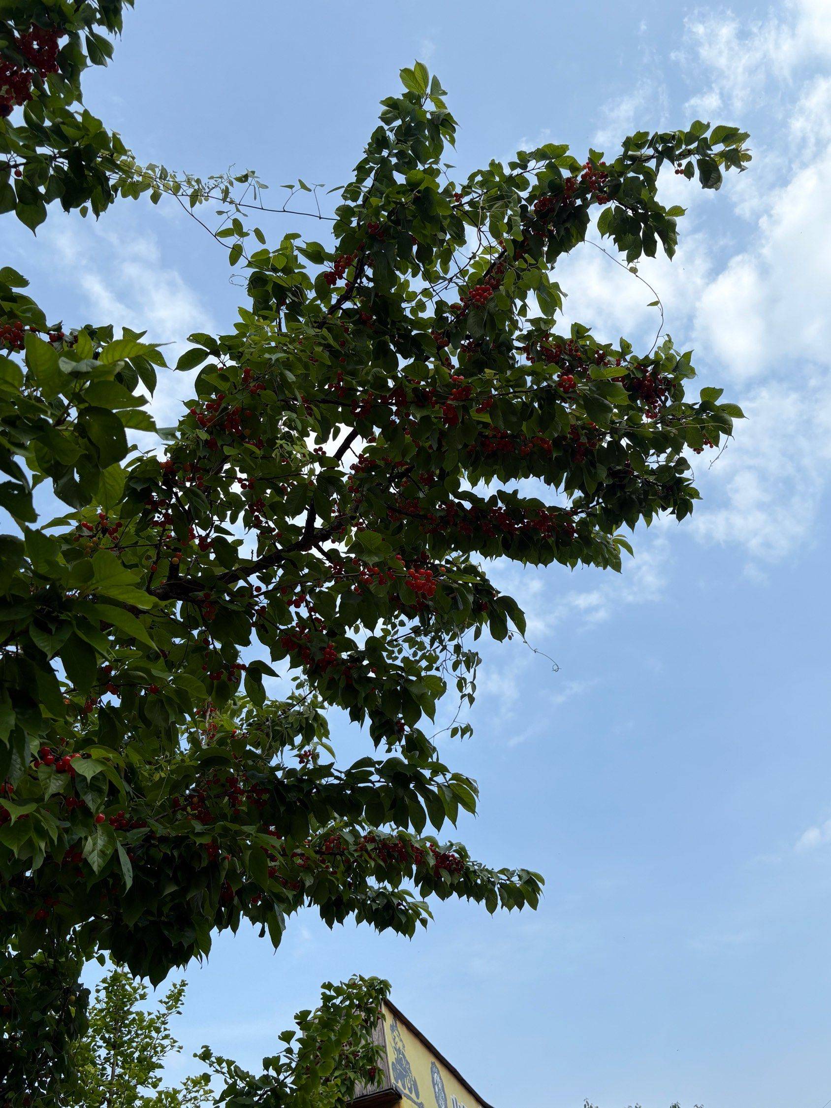 湘潭