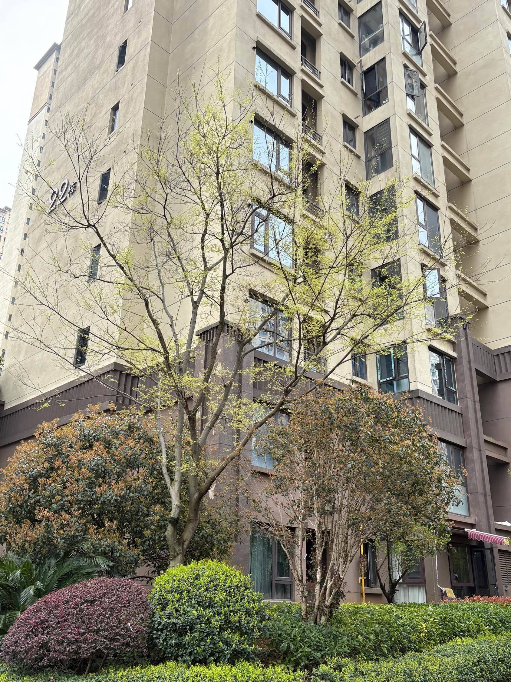  城市唤醒计划 