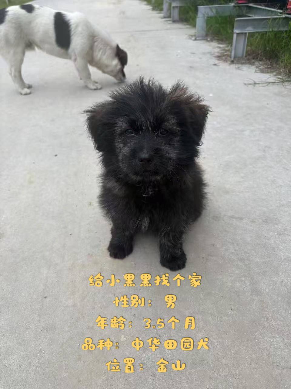 我想有个家_1