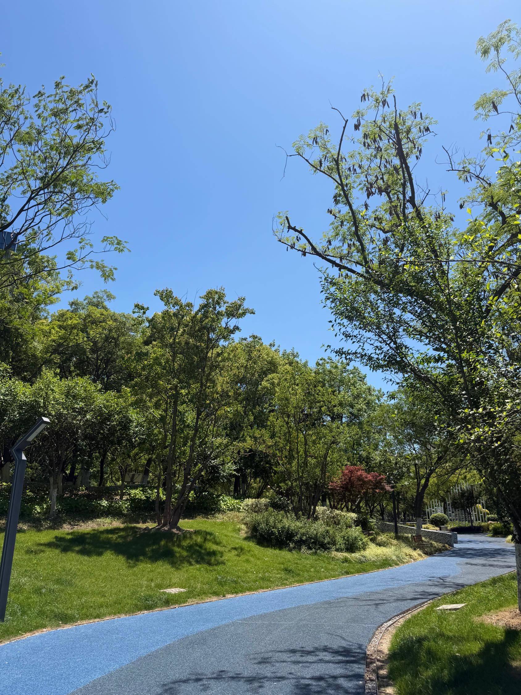 入夏啦