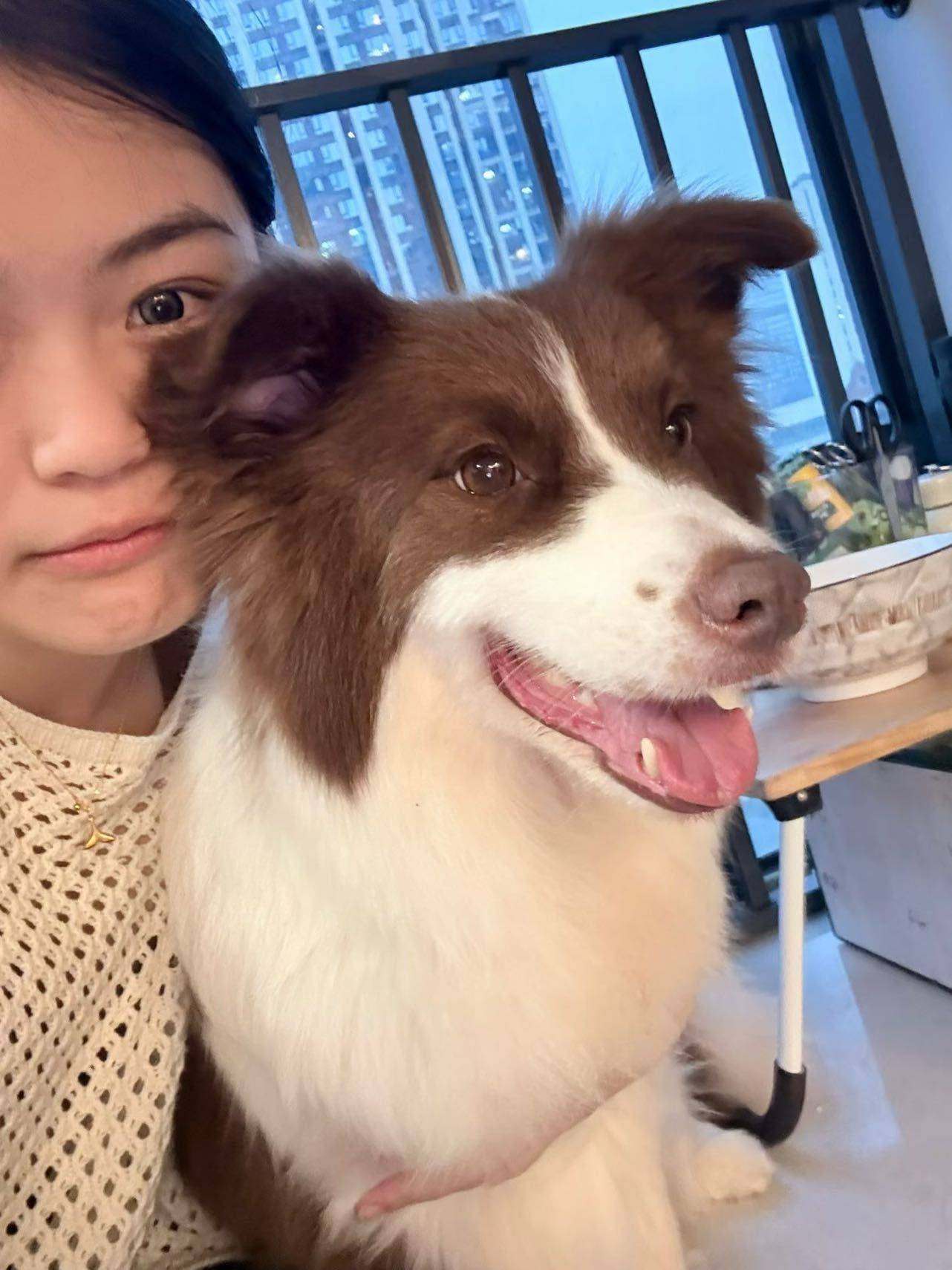 🐶🐶_2